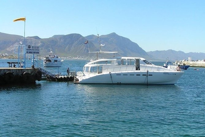 Robben Island Half-Day Tour With Hotel Pickup and Drop-Off  - Cape Town - Viator Help Center for Customer Support
