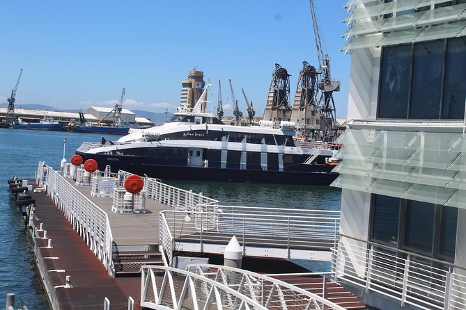 Robben Island Nelson Mandelas Prison Museum Township Tour Incl Ferry Tickets - Traveler Photos and Reviews