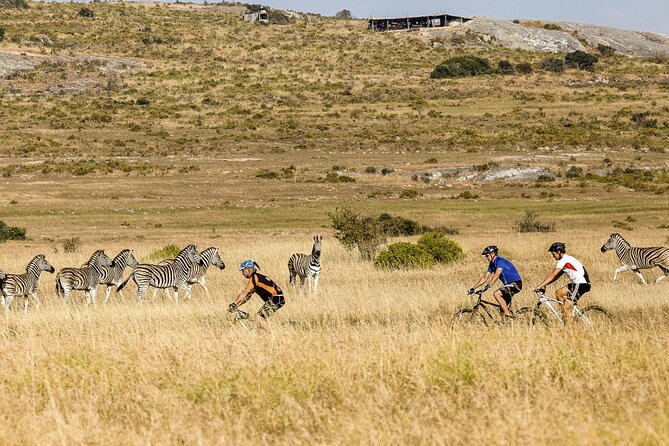 Safari Cycle and !Khwa Ttu San Heritage Experience - Cultural Heritage of the San Communities