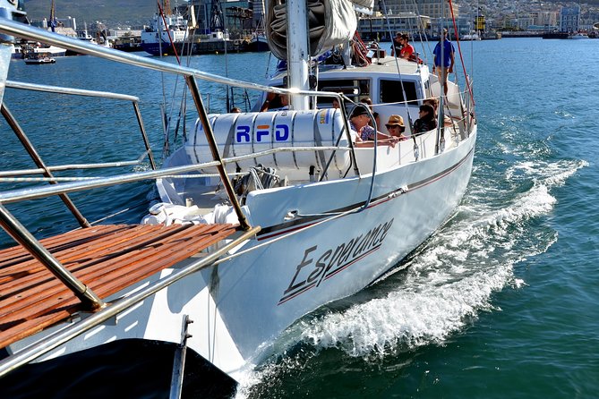 Sailing in The Bay by Catamaran (One Hour) - Common Questions