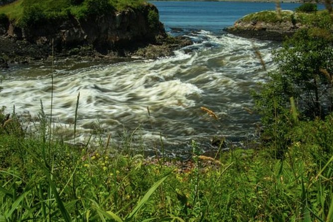 Saint John Historic Walking Tour/Shore Excursion - Cancellation Policy and Additional Information