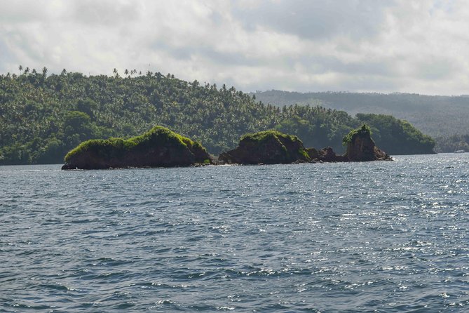 Samana Full-Day Tour With Whale Watching and Horse Riding - Traveler Experience