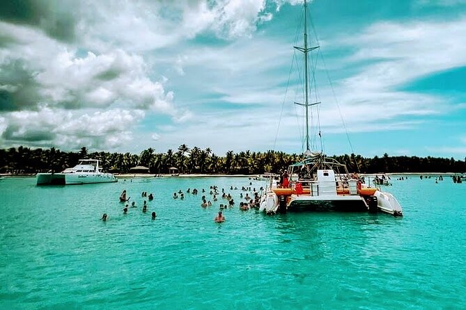 Saona Island Full-day Trip Open Bar, Lunch and (Snorkeling Free ) - Feedback on Transportation and Guides