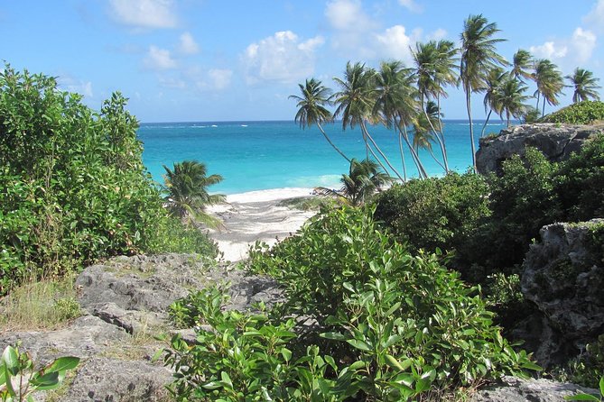 Scenic Barbados Coast To Coast Half-Day Tour - Traveler Photos