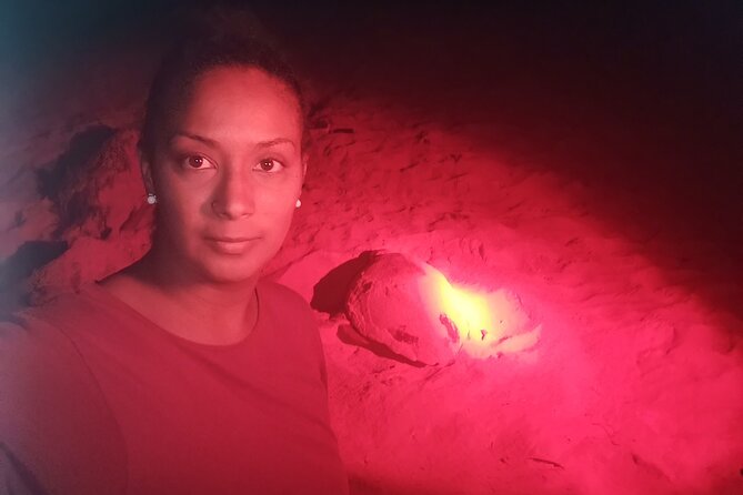 Sea Turtle Nesting Observation on Sal Island - Importance of Sea Turtle Conservation