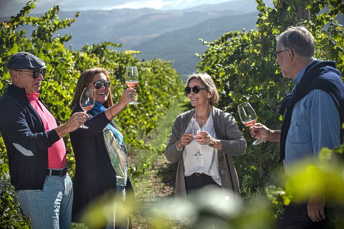 Selection Tasting Quinta De Santa Cristina Vinho Verde - The Winemaking Process at Quinta De Santa Cristina