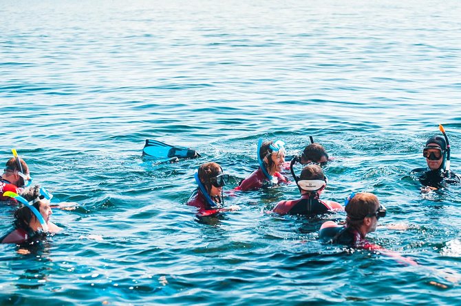 Sesimbra Small-Group Snorkeling Tour  - Setubal District - What to Expect