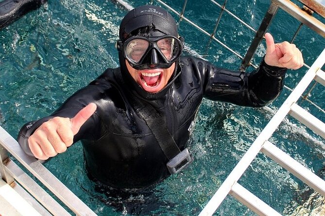 Shark Cage Diving and Viewing From Hermanus - Traveler Photos and Reviews