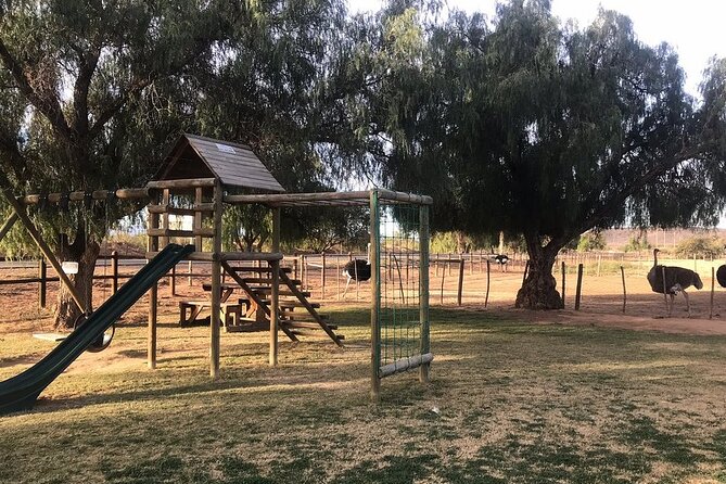 Skip the Line: Highgate Ostrich Farm Tour Ticket - Reviews