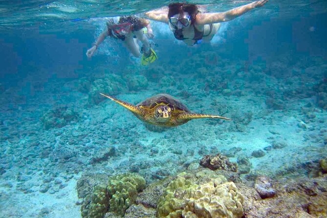 Snorkeling Experience in Santa Maria Bay by Boat - The Sum Up