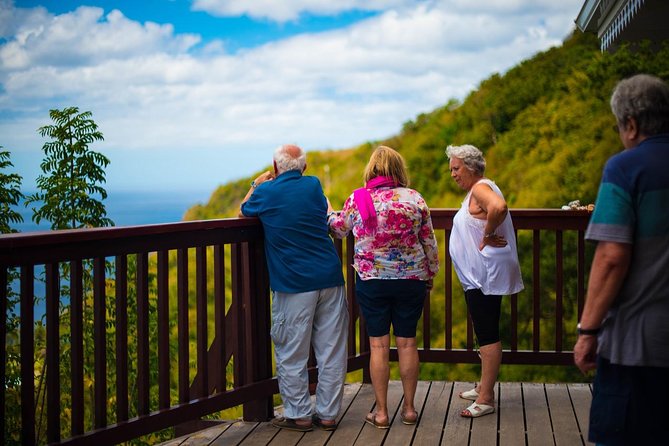 St Lucia Cruise Ship Excursion - Reviews and Photos