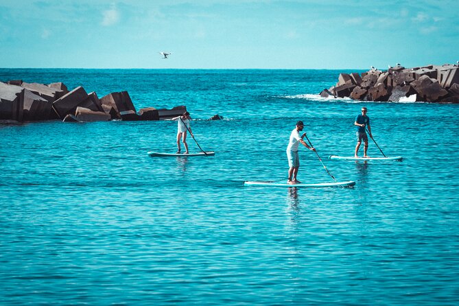 Stand Up Paddle Private Lesson in Calheta Beach - Additional Information