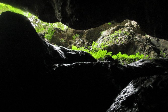 Standard Canyoning Trip in The Crags, South Africa - Inclusions and Additional Options