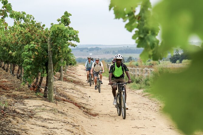 Stellenbosch Half Day Winelands Cycle Tour - Additional Information