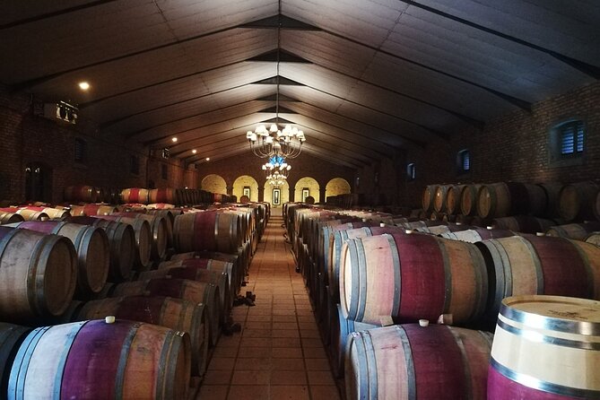 Stellenbosch Vineyard Walk & Wine Tasting - Light Lunch Delights
