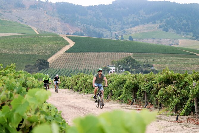 Stellenbosch Winelands Luxury Ebike Tour - Biking Tour Starts After Outfitting