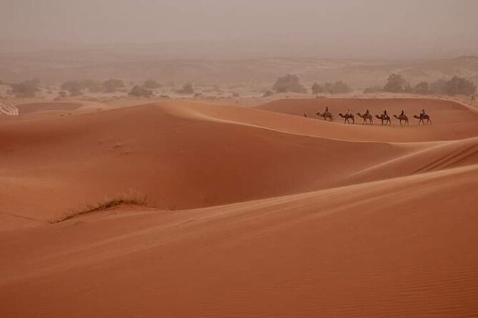 Sunset in Merzouga Sahara Desert & Camel Ride Erg Chebbi Dunes - Admiring Village Gardens on the Way Back