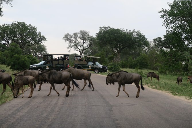 Sunset Safari With Open Top Vehicle in Pilanesberg National Park - Common Questions