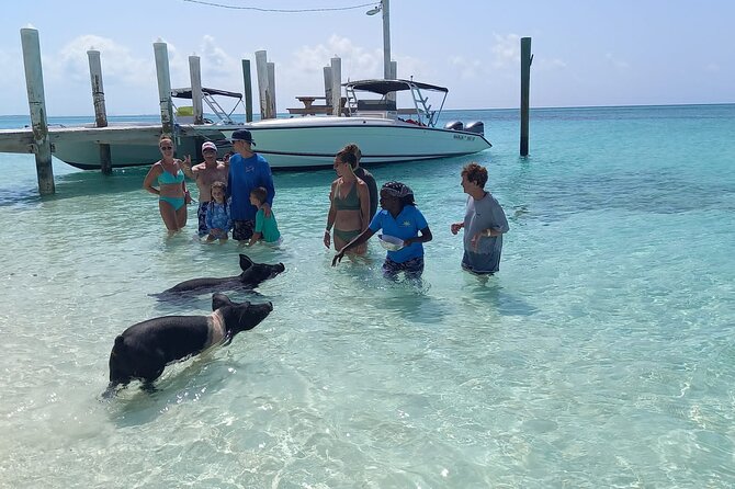 Swimming Pigs Island Turtles and Snorkeling Excursion 4 Stops - Common Questions