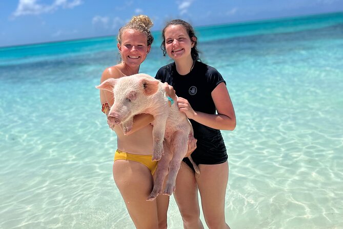 Swimming Pigs Tour on Rose Island - Tour Highlights