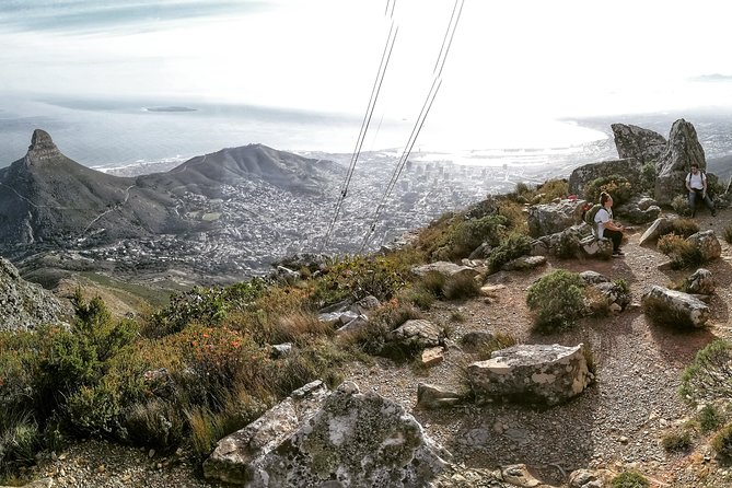 Table Mountain Adventurous Hike & Cable Car Down - Reviews and Cancellations