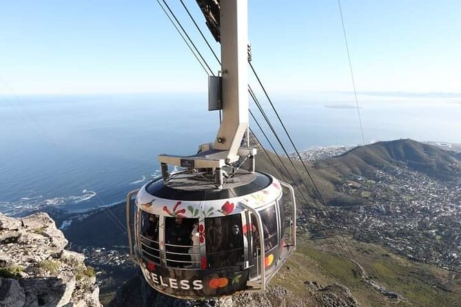Table Mountain, Cape Point & Penguins Private ,From Cape Town - Additional Fees