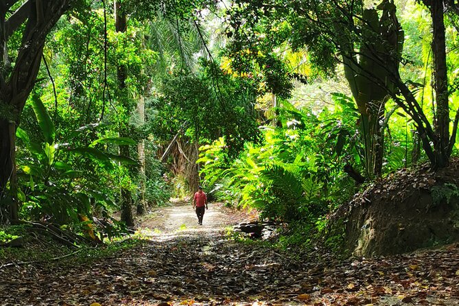 Taino Valley Tropical Park Puerto Plata Tubagua - Traveler Photos