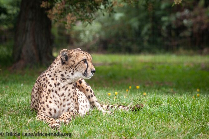 The Private Wildlife Tour - Miscellaneous Information
