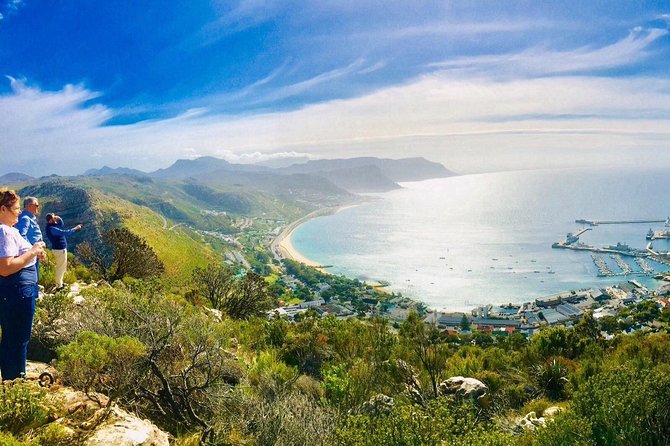 Three Day Private Tour: Table Mountain, City, Cape Peninsula and Winelands - Day 2: Exploring the Cape Peninsula