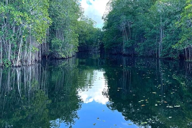 Tour to Black River and YS Falls - Refund Policy