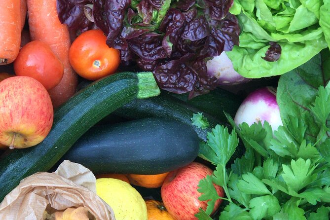 Traditional Cooking Class & Farm Tour in the Douro Valley - Cancellation Policy