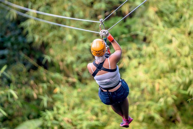 Treetop Zipline Experience From Castries - Meeting and Pickup