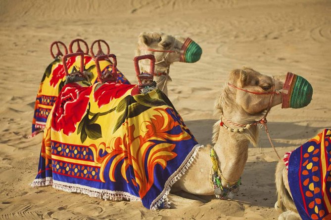 Trio Package With Desert Safari, Dinner Cruise & Dubai City Tour - Important Information for Participants