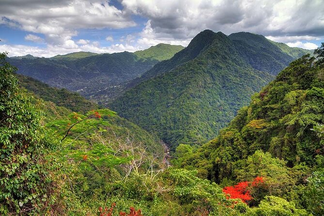 UTV/ Can Am Tours in Puerto Rico - Traveler Photos and Reviews