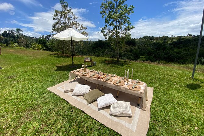 Vida Vistas - Tailor Made Luxury Picnics - Cancellation Policy