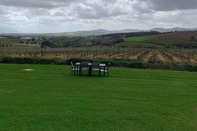 Vine Hopper: Hop-On Hop-Off Wine Tour - Southern Route - Tour Overview