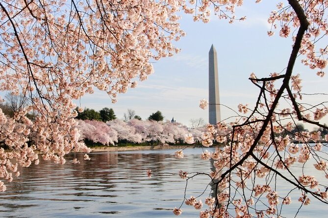 Washington Cherry Blossoms Guided Bus Tour - Additional Information About the Tour