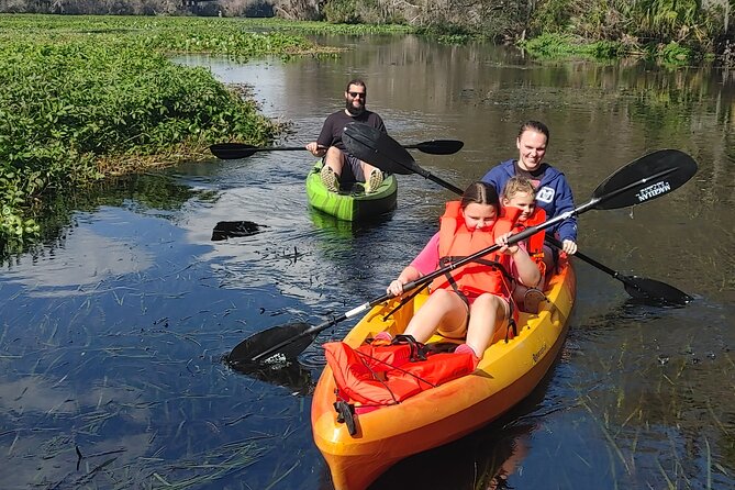 Wekiva Wildlife Kayaking Adventure Tour - What to Expect