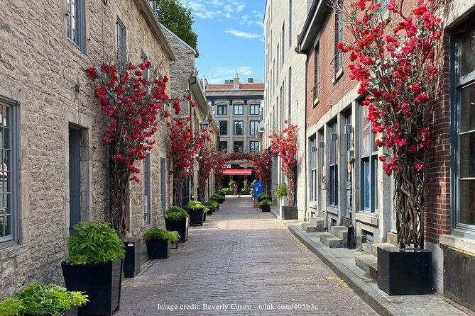 Welcome to Montreal's Old Town: Private 2-hour Walking Tour - Hidden Gems and Local Secrets