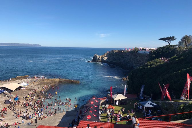 Whale Watching Tour in Hermanus With Hotel Pickup - Customizable Tour Options