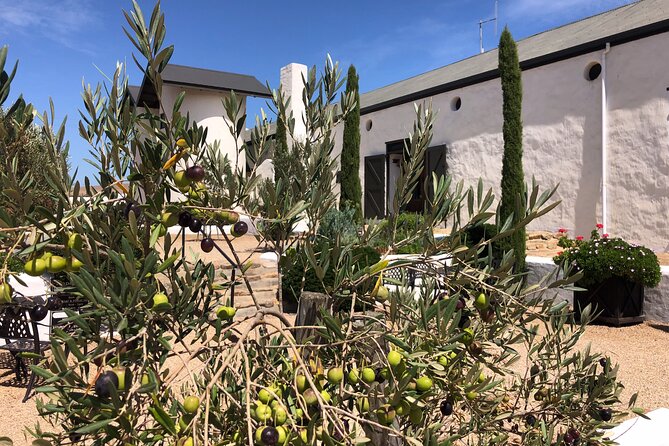 Wildlife Safari, Olive, Beer and Wine Tasting Day Tour From Cape Town - Beer Tasting at the Brewery