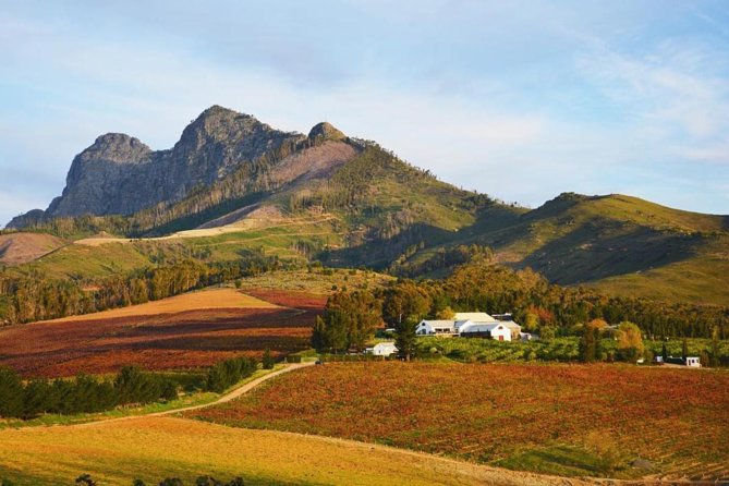 Wine Beer and Biltong Safari - Stellenbosch - Reviews