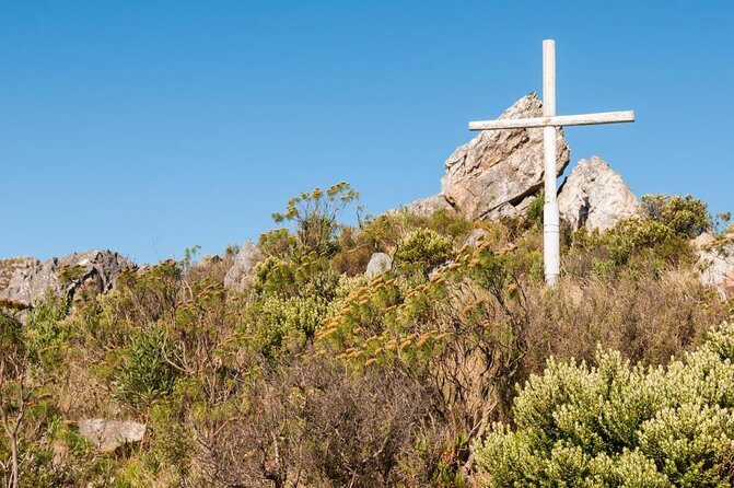 Wine-Tasting and Whale-Watching Tour From Cape Town - Good To Know