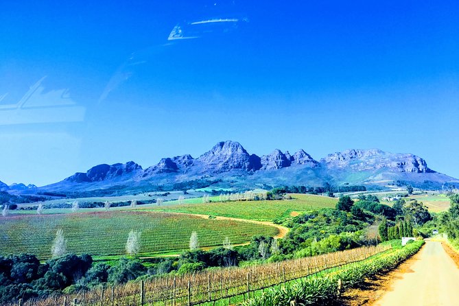 Wine Tasting - Boutique Farms - Authentic Reviews