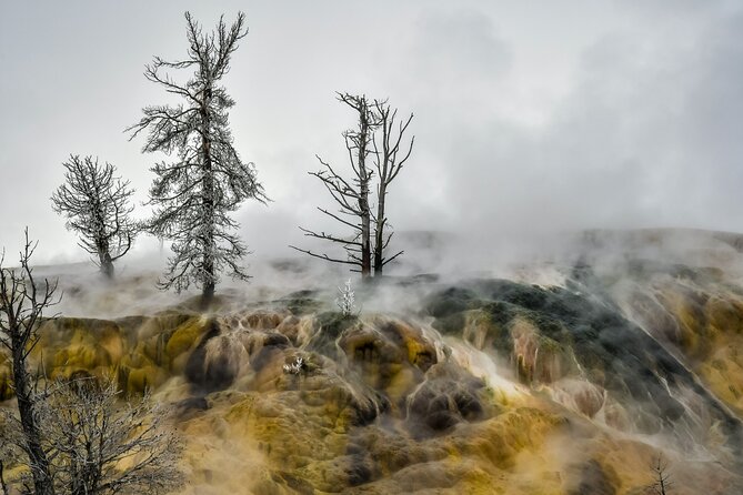 Yellowstone, Grand Teton & Utah Mighty 5 Winter Tour: Small Group 9-Day Tour - Additional Information and Guidelines