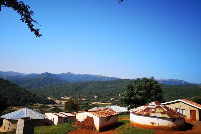 Zulu Cultural Experience: Zulu Village Tribal Markets Traditional Zulu Food - Zulu Traditions and Customs