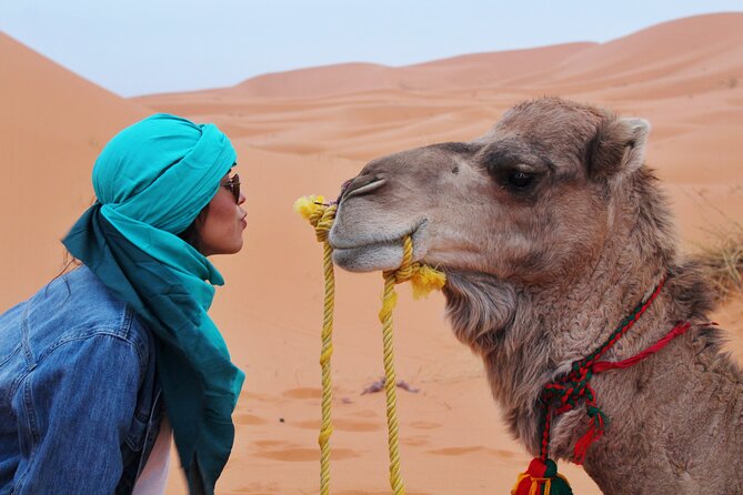 4 Day Desert Tour From Fez to Marrakech Through Merzouga, Valleys & Ouerzazat