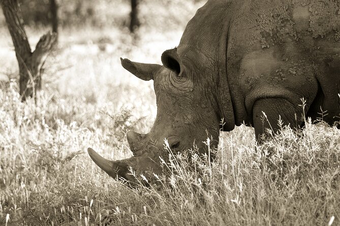 4 Day Kruger National Park Private Land Rover Safari From Jnb/Pta - Good To Know