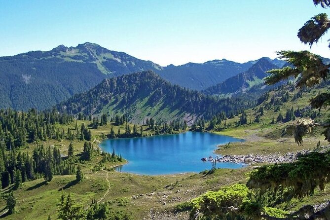 2 Best 4 Day Tours In Olympic National Park