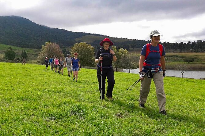 4-Day Private Natal Midlands Falls to Falls Tour - Good To Know